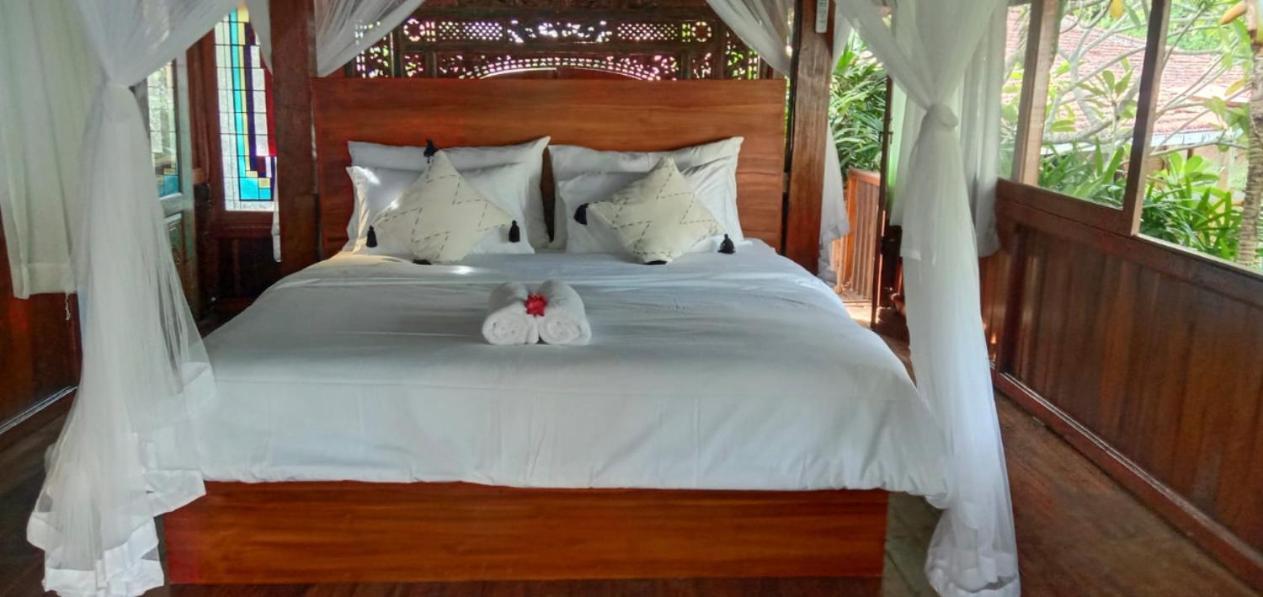 קנגו Kura Kura Beach House מראה חיצוני תמונה